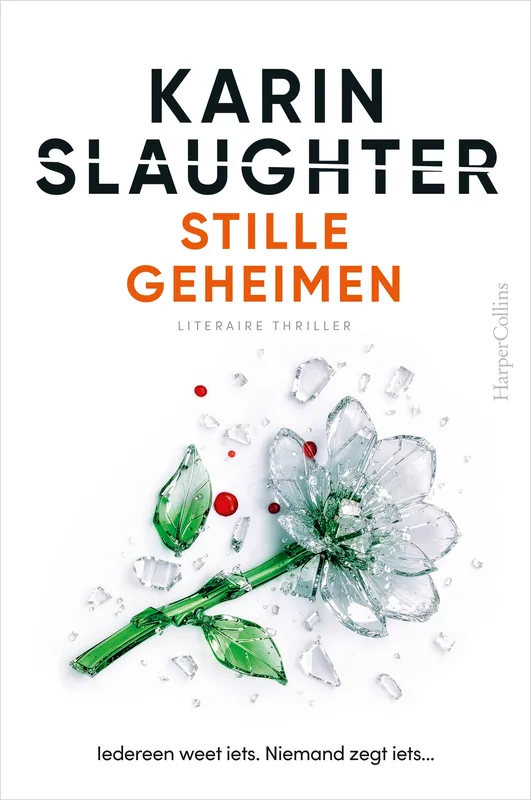 Direct Verzonden Stille geheimen (hardcover)