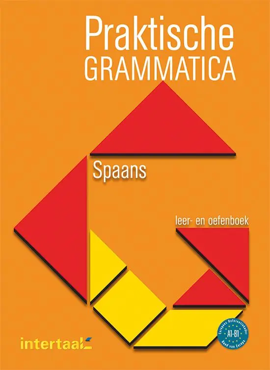 Praktische grammatica Spaans leer- en oefenboek Flitsaanbieding