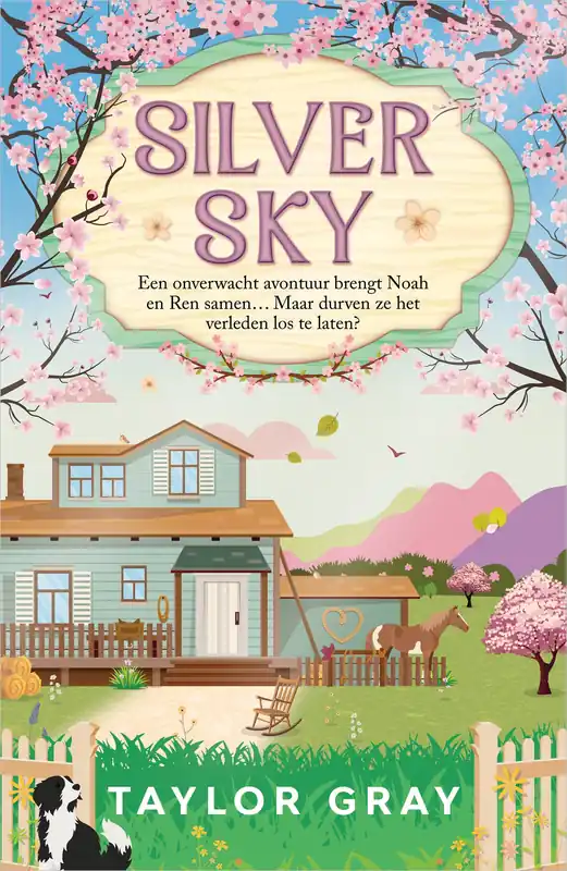 Laatste Kans Silver Sky