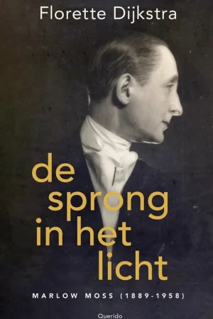 De sprong in het licht Lage Kosten