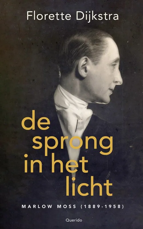 De sprong in het licht Lage Kosten