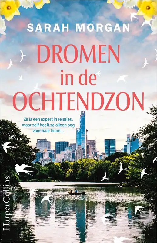Dromen in de ochtendzon Betaalbaar
