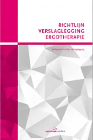 Richtlijn verslaglegging Ergotherapie Veilige Betaling