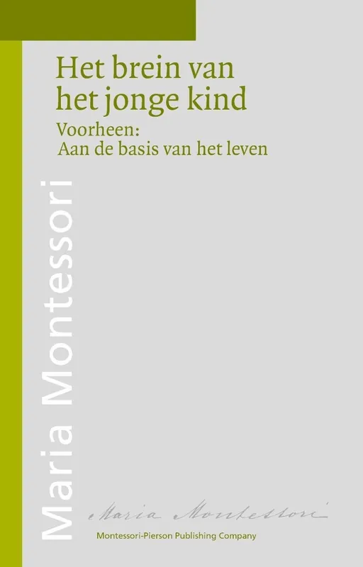 Beperkte Voorraad Het brein van het jonge kind