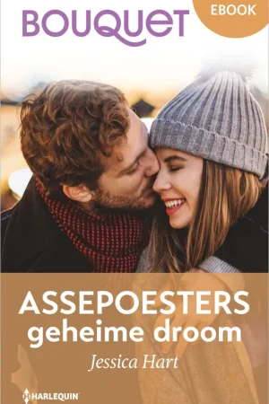 Assepoesters geheime droom Dagaanbieding