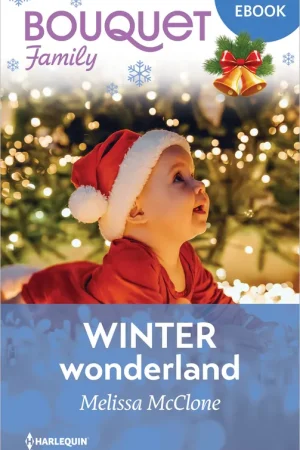 Actieprijs Winterwonderland