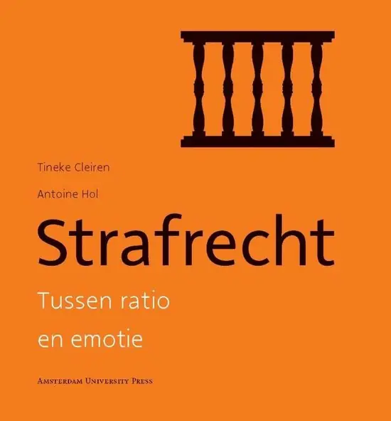 Must-Have Strafrecht