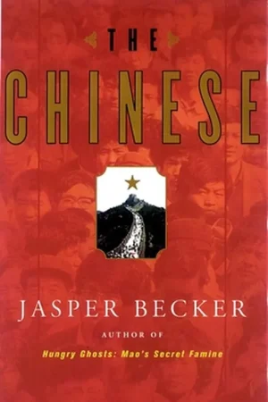 Aanbieding The Chinese