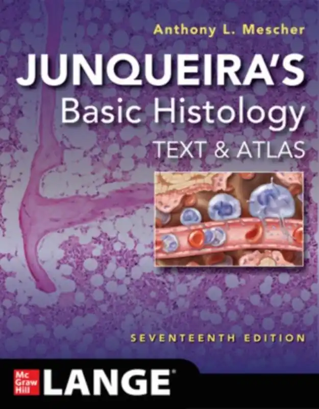 Junqueira's Basic Histology / 17th edition Shop Nu