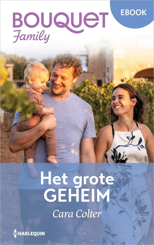Fabrieksprijs Het grote geheim