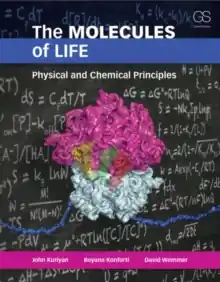 Bestel Nu The Molecules of Life