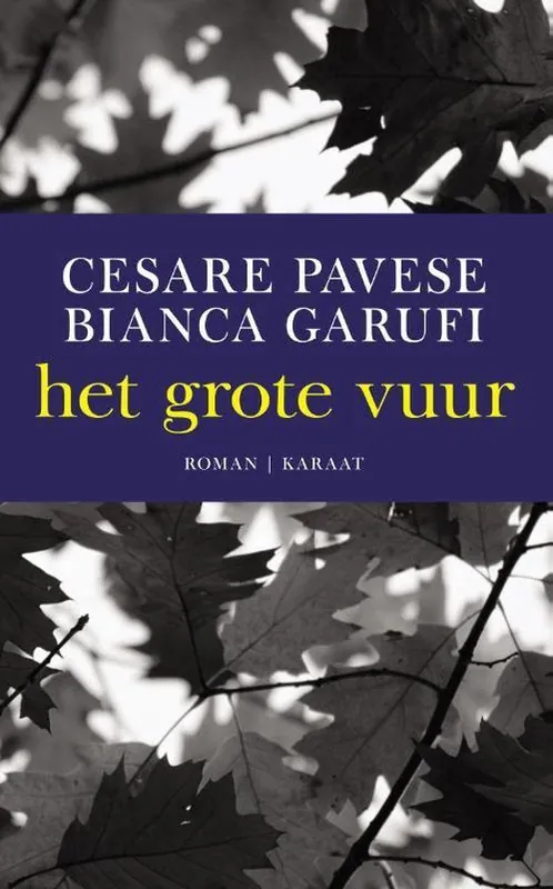 Het grote vuur Goedkoop