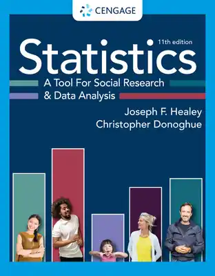 Betaalbaar Statistics: A Tool for Social Research and Data Analysis