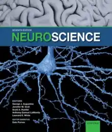 Bestel Nu Neuroscience / 7th edition