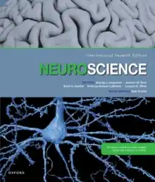 Lage Prijs Neuroscience / 7th revised edition