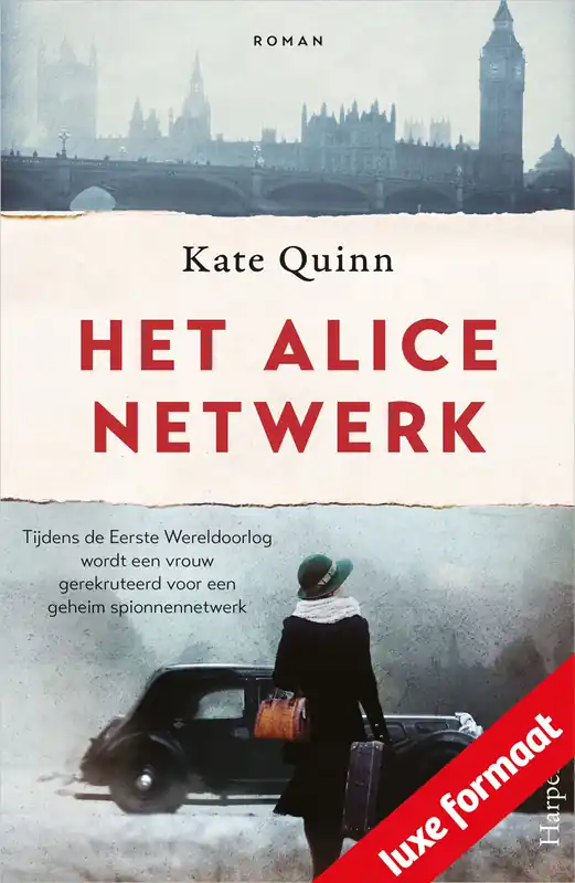 Het Alice-netwerk Beste Prijs