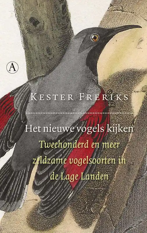 Het nieuwe vogels kijken Populair