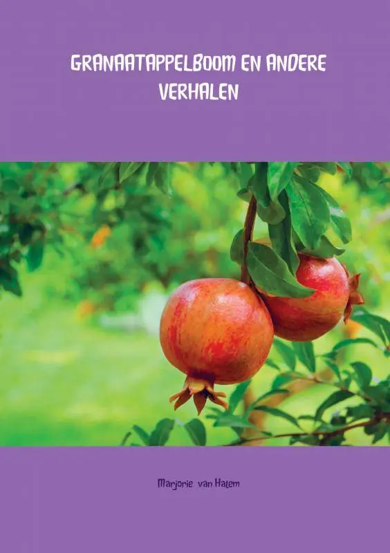 Direct Beschikbaar GRANAATAPPELBOOM EN ANDERE VERHALEN / Druk 1
