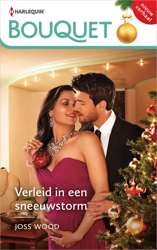 Verleid in een sneeuwstorm Flitsaanbieding