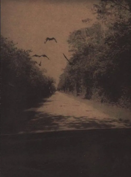 Express Levering Bert Teunissen - on the Road, Everglades