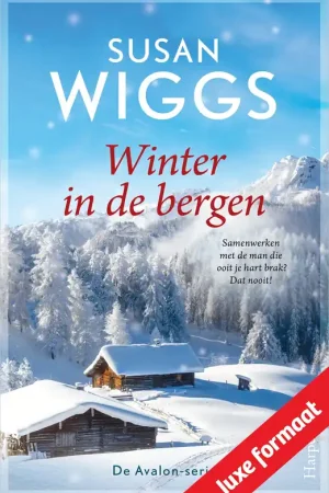 Winter in de bergen Lage Prijs