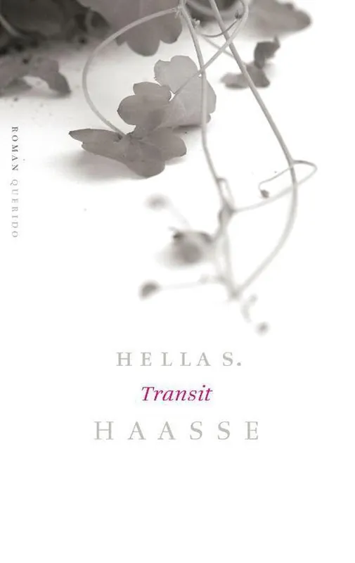 Transit Bestel Nu
