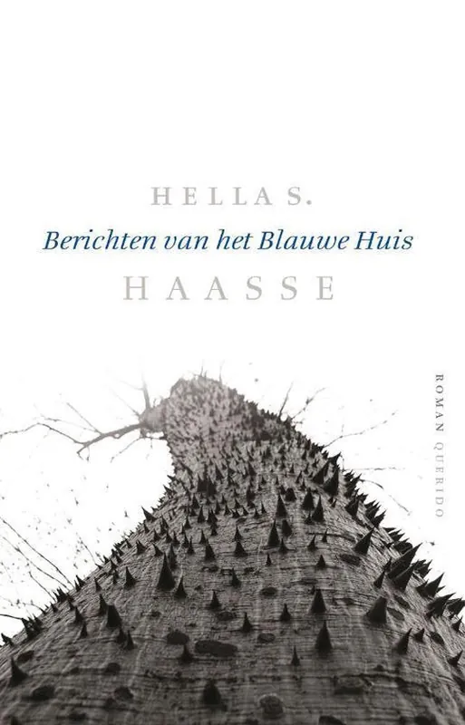 Tijdelijk Beschikbaar Berichten van het Blauwe Huis