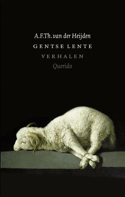 Premium Gentse lente