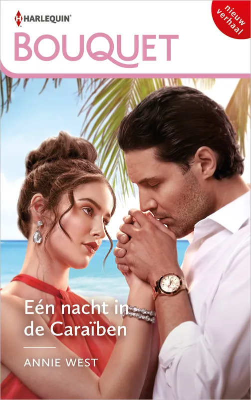 Koop Vandaag Eén nacht in de Caraïben