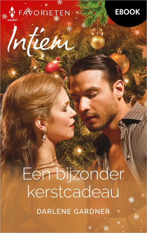 Laatste Versie Een bijzonder kerstcadeau