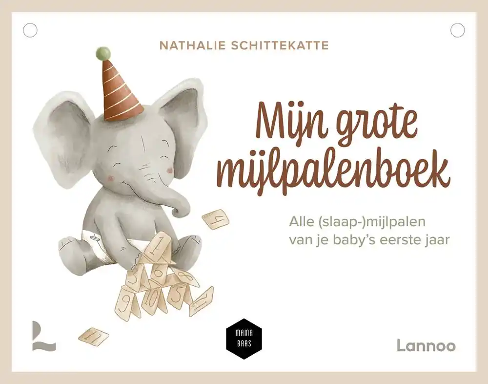 Gratis Retour Mijn grote mijlpalenboek / Druk 1