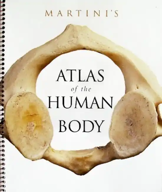 Favoriet Martini's Atlas of the Human Body