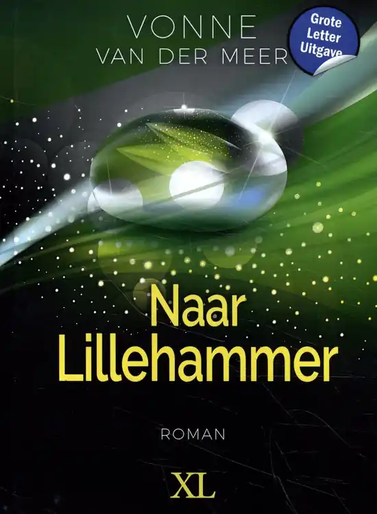 Naar Lillehammer Rechtstreeks Van De Fabrikant