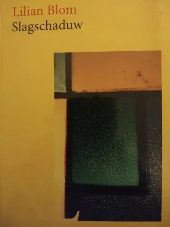 Lilian Blom (XL boek, grote letters) Lage Kosten
