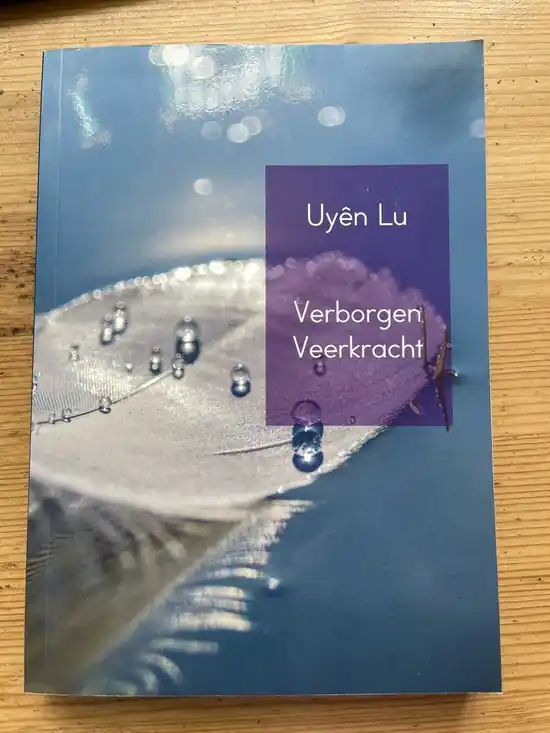 Koop Online Verborgen Veerkracht