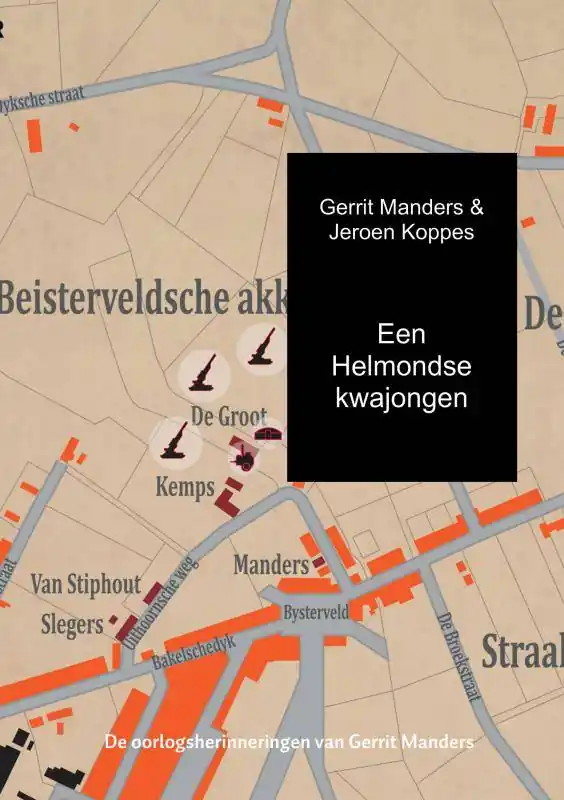 Betaalbaar Een Helmondse kwajongen / Druk 2