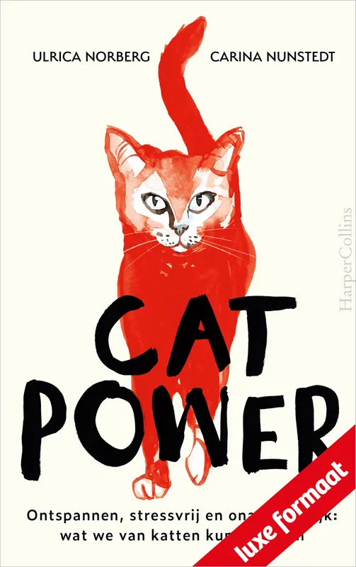 Bestel Nu Cat Power