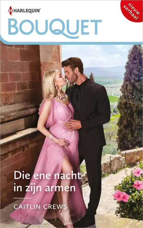 Koop Online Die ene nacht in zijn armen