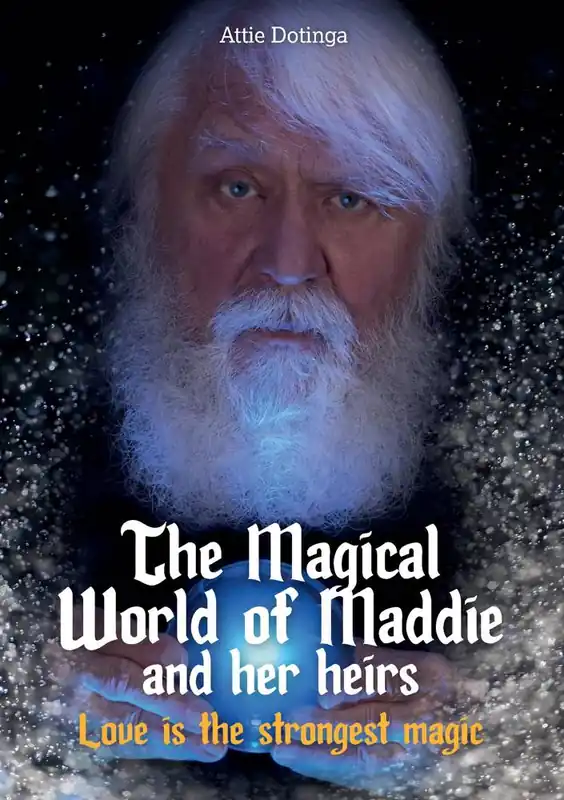 Beperkte Voorraad The Magical World of Maddie and her heirs 11 / Druk 1