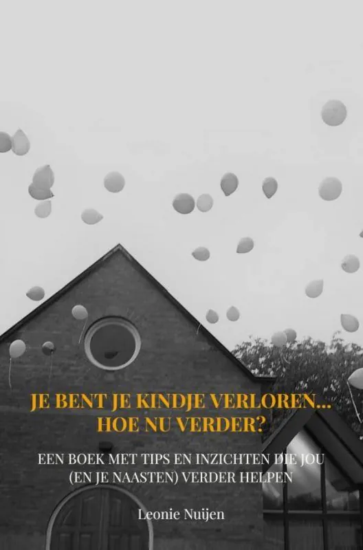 Je bent je kindje verloren... Hoe nu verder? / Druk 1 Direct Verzonden