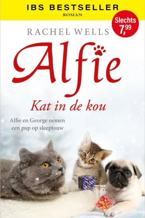 Alfie, kat in de kou Lage Kosten
