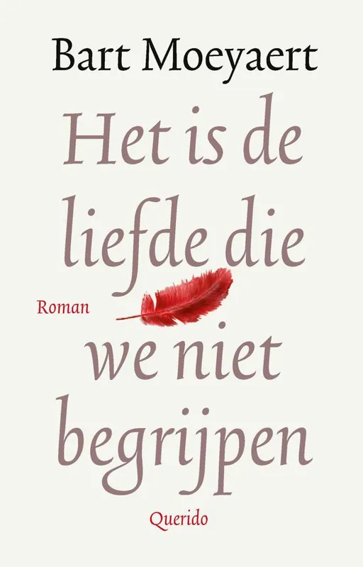 Uitverkoop Het is de liefde die we niet begrijpen / Druk 12