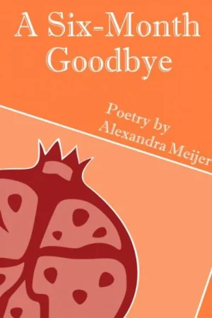 A Six-Month Goodbye / 1st Edition Actieprijs