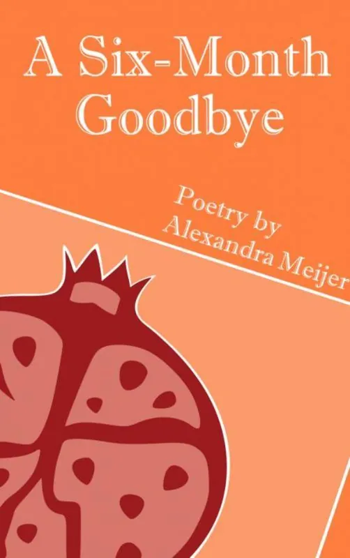 A Six-Month Goodbye / 1st Edition Actieprijs