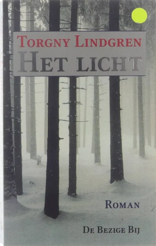 Het licht Direct Beschikbaar
