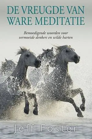 Must-Have De vreugde van ware meditatie / Druk 1