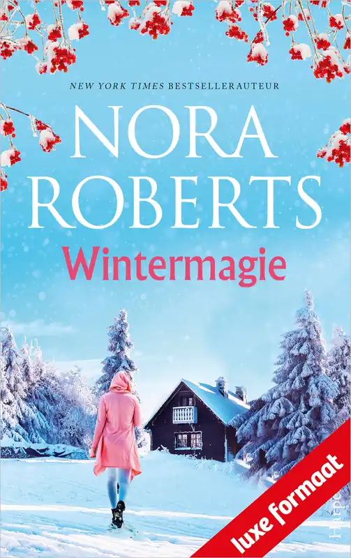 Koopje Wintermagie (2-in-1)