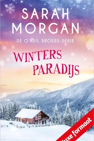 Winters paradijs Direct Beschikbaar