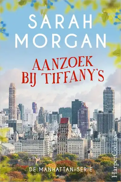 Rechtstreeks Van De Fabrikant Aanzoek bij Tiffany's