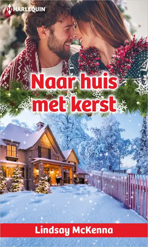 Flitsaanbieding Naar huis met kerst
